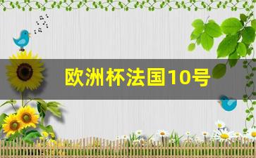 2021欧洲杯法国队18号-欧洲杯法国10号