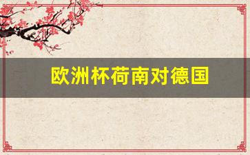 荷兰欧洲杯荷兰-欧洲杯荷南对德国