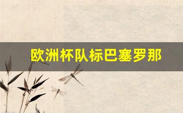 欧洲杯没有巴塞罗那-欧洲杯队标巴塞罗那
