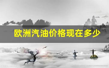 欧洲汽油价格多少钱一升-欧洲汽油价格现在多少钱