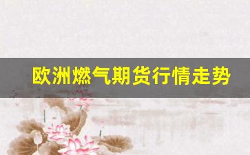 欧洲燃气期货行情走势(欧洲天然气期货连续价格走势)_https://www.huakunhengjia.com_期货资讯_第1张