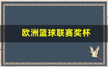 欧洲篮球联赛奖杯叫什么-欧洲篮球联赛奖杯
