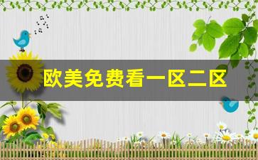 久久综合欧美：欧美免费看一区二区 (13