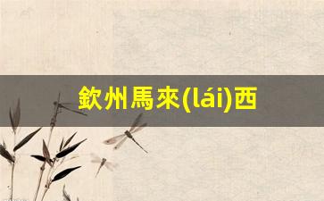 欽州馬來(lái)西亞簽證(馬來(lái)西亞簽證辦理地點(diǎn))