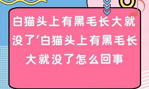 没有黑是什么意思_歌词没有黑就有白是哪首歌