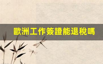 歐洲工作簽證能退稅嗎(歐洲工作簽證辦理流程)