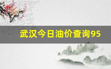 武汉今日油价查询95最新消息及价格-武汉今日油价查询95最新