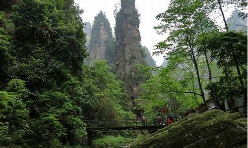 武汉到张家界旅游攻略二日游推荐_武汉到张家界旅游攻略二日游推荐路线