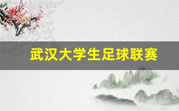 武汉大学生足球联赛高职高专组-武汉大学生足球联赛