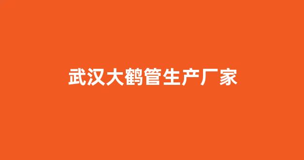 武汉大鹤管生产厂家(1)