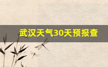 查看武汉30天天气预报_武汉天气30天预报查询结果表格