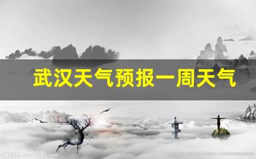武汉天气预报一周天气15天详情最新消息_武汉天气预报一周天气15天详情最新
