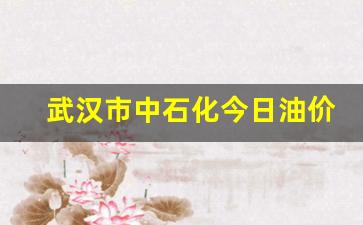武汉中石化油价今日价格表-武汉市中石化今日油价查询