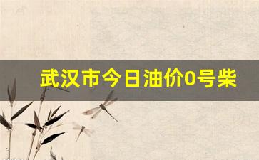 武汉市今日油价0号柴油多少钱一吨-武汉市今日油价0号柴油多少钱