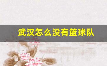 武汉市内篮球-武汉怎么没有篮球队