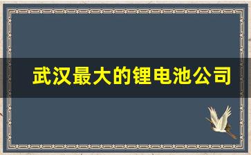 武汉最大的锂电池公司(武汉最大的锂电池公司排名)_https://www.hangfeite.com_北交所_第1张
