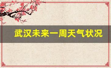 武汉未来一周天气状况如何变化的_武汉未来一周气温
