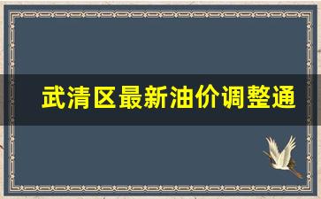 武清区最新油价调整通知公告-武清区最新油价调整通知