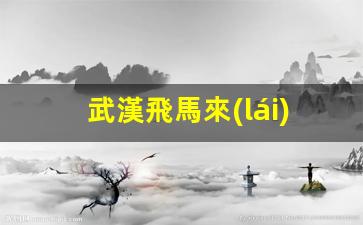 武漢飛馬來(lái)西亞簽證(武漢到馬來(lái)西亞機(jī)票)
