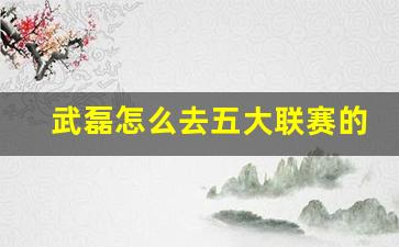 武磊怎么去五大联赛的-武磊去哪个俱乐部了