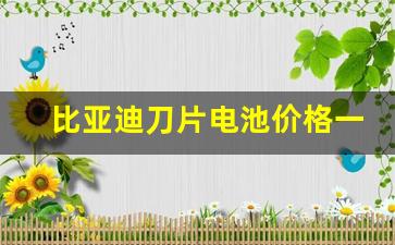 比亚迪刀片电池价格一览表(比亚迪电池更换一次多少钱)_https://www.wanyuyiyao.com_创业板_第1张