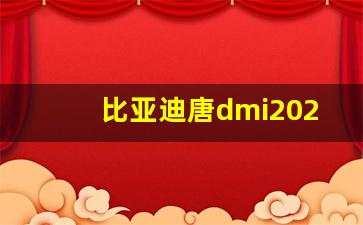 比亚迪唐dmi2023冠军版(比亚迪唐dmi冠军版价格)_https://www.dcjwmf.com_广期所_第24张