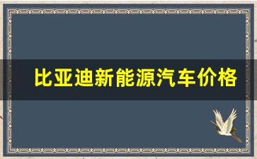 比亚迪新能源汽车价格及图片(比亚迪新能源汽车报价)_https://www.eamstsz.com_北交所_第1张