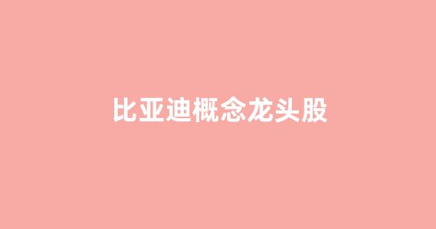 比亚迪概念龙头股(比亚迪 概念)_https://www.hangfeite.com_科创板_第1张