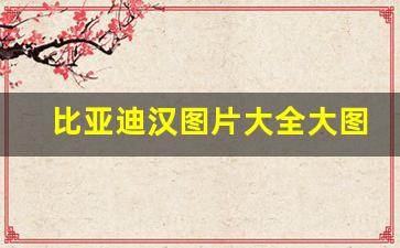 比亚迪汉图片大全大图(比亚迪汉高清壁纸)_https://www.huakunhengjia.com_股票资讯_第1张