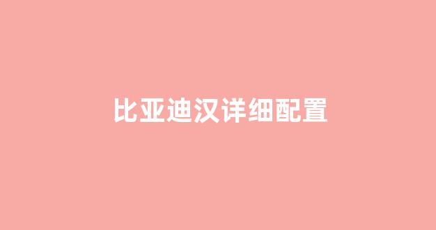 比亚迪汉详细配置(比亚迪汉配置表)_https://www.eamstsz.com_深交所_第1张