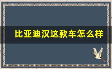 比亚迪汉这款车怎么样(比亚迪汉这辆车怎么样)_https://www.nalian8.com_北交所_第1张