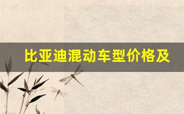 比亚迪混动车型价格及图片两箱(比亚迪混合动力车型及最新报价)_https://www.jnskb.com_装修公司_第1张