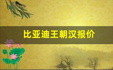 比亚迪王朝汉报价(比亚迪王朝系列 汉)_https://www.taocizhiliang.com_效果图_第1张