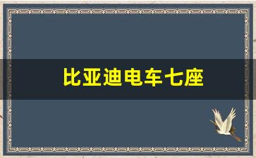 比亚迪电车七座(比亚迪电车七座价格及图片大全)_https://www.qldgs.com_期货_第1张