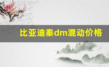 比亚迪秦dm混动价格(比亚迪秦dm混动价格配置)_https://www.jumanxin.com_深交所_第1张