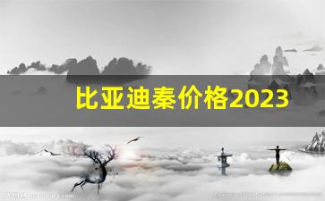 比亚迪秦价格2023款报价(比亚迪秦油电混合2023款价格)_https://www.hangfeite.com_科创板_第1张