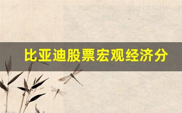 比亚迪股票宏观经济分析(比亚迪宏观经济情况分析)_https://www.wguangz.com_上期所_第1张