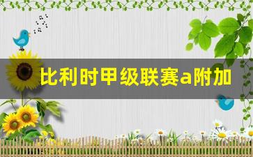 比利时甲级b联赛ds-比利时甲级联赛a附加赛