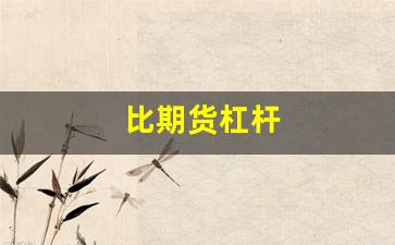 比期货杠杆(杠杆和期货的区别)_https://www.hangfeite.com_科创板_第1张