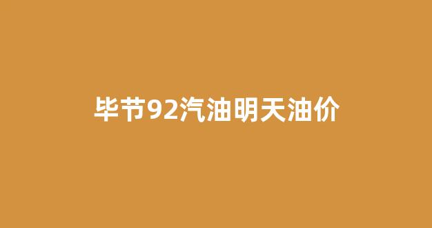 毕节今日油价查询_毕节92汽油明天油价