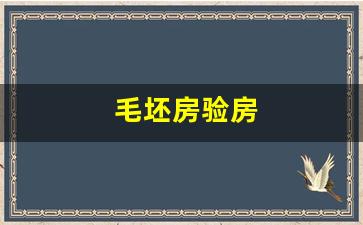 毛坯房验房-毛坯房验房标准