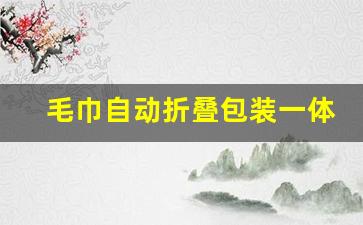 毛巾自动折叠包装一体机(洗布草设备自动一体化)_https://www.shshucaipeisong.com_北交所_第1张