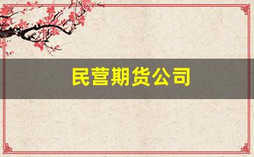 民营期货公司(民营期货公司排名)_https://www.xzdzcjx.com_创业板_第1张