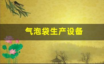 气泡袋生产设备(气泡袋生产设备视频)_https://www.wanyuyiyao.com_科创板_第1张