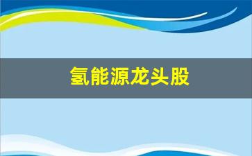 氢能源龙头股(氢能源龙头股鸿达兴业)_https://www.hangfeite.com_创业板_第1张