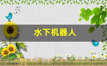 水下机器人(沈阳自动化研究所水下机器人)_https://www.jumanxin.com_上交所_第1张