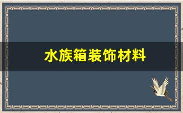 水族箱装饰材料-水族箱必备装置