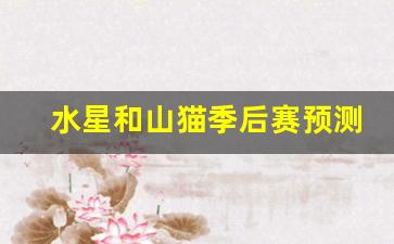水星和山猫季后赛预测-水星vs天猫