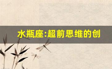 水瓶座:超前思维的创新领袖