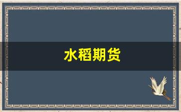 水稻期货(水稻期货价格最新行情2023)_https://www.shshucaipeisong.com_创业板_第1张